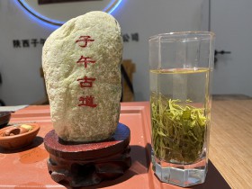 怎样鉴别紫阳毛尖茶的好坏