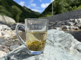 紫阳翠峰浓香型绿茶介绍