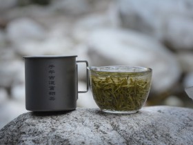 蒿坪毛尖陕西紫阳富硒茶介绍