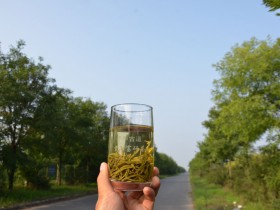 碧螺春与紫阳茶哪个好?