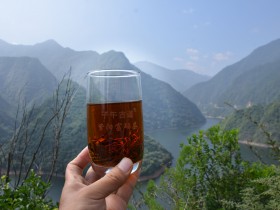 中秋节送什么茶比较好?
