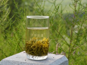 有机茶和富硒茶的区别是什么?