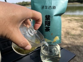 子午古道紫阳毛尖怎么泡好喝?