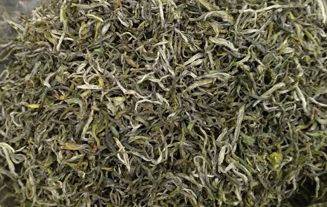 紫阳毛尖