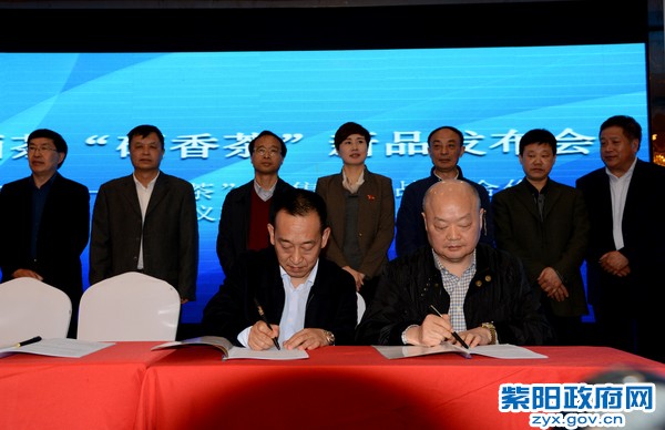 “紫阳富硒茶——硒香茶”新品发布