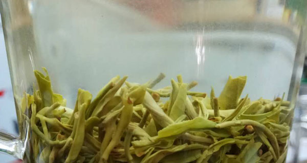 紫阳明前茶