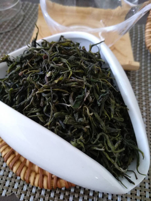 紫阳茶