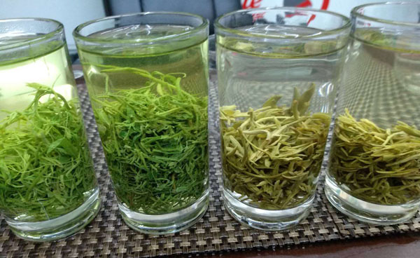 紫阳富硒茶绞股蓝茶