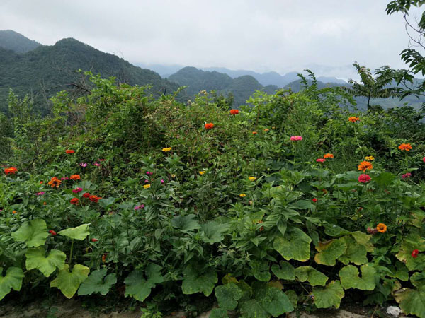 紫阳美景