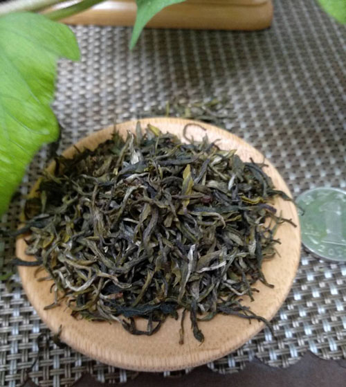 紫阳茶