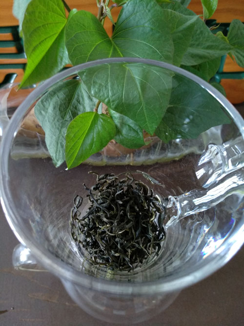 每天喝多少茶比较适合