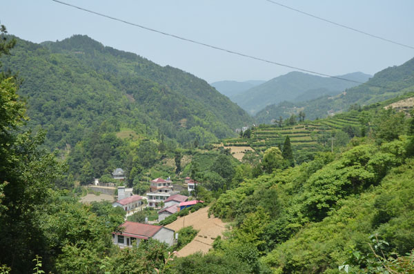 紫阳环境