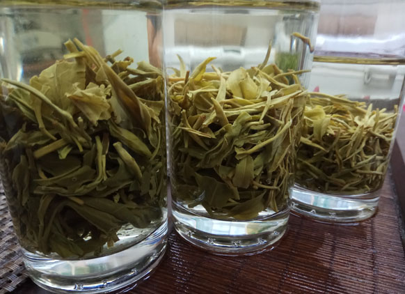 紫阳毛尖茶