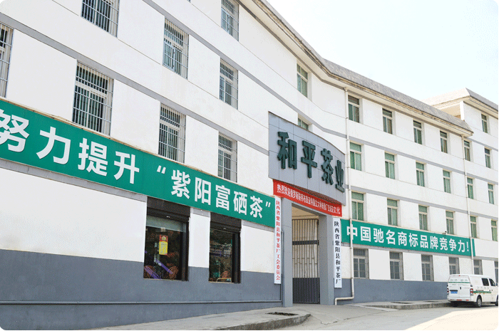 和平茶叶