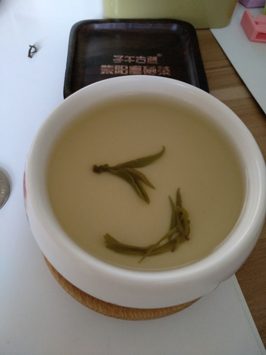 明前茶