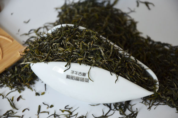 有机茶