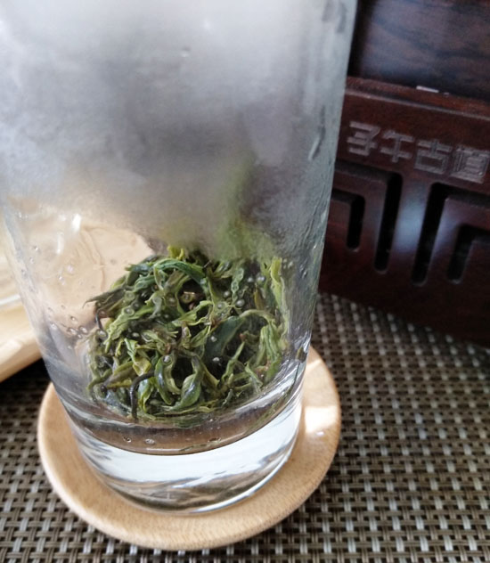 洗茶