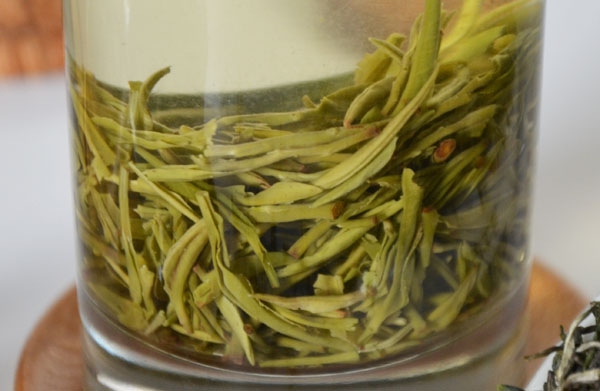 紫阳茶