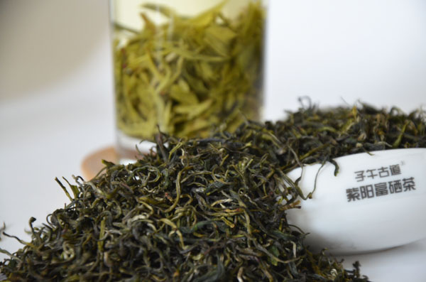 紫阳清明茶