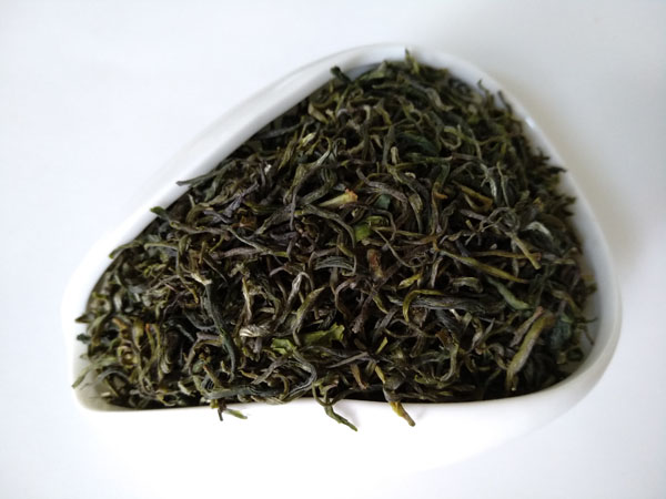 紫阳茶在民国时期