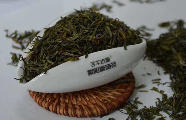 紫阳毛尖