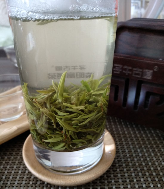 泡制蒿坪毛尖的基本步骤是什么?