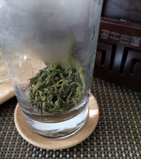 泡制蒿坪毛尖的基本步骤是什么?