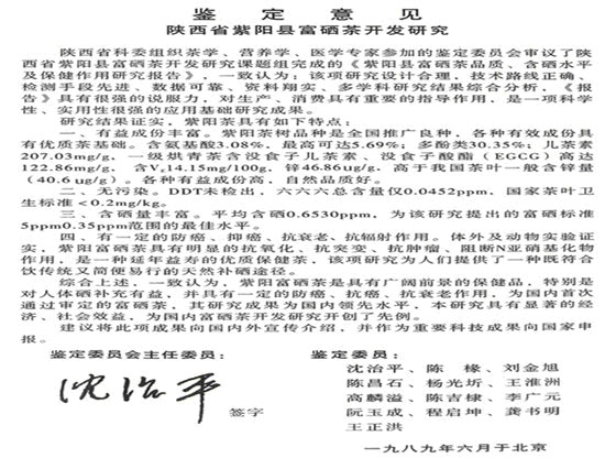 紫阳茶鉴定