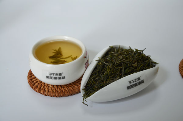 紫阳毛尖茶