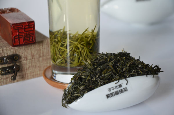 子午古道紫阳茶