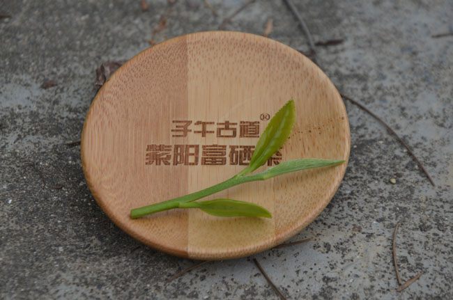 子午古道紫阳富硒茶