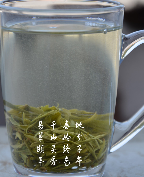 茶毫