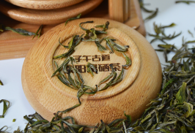 紫阳毛尖春茶