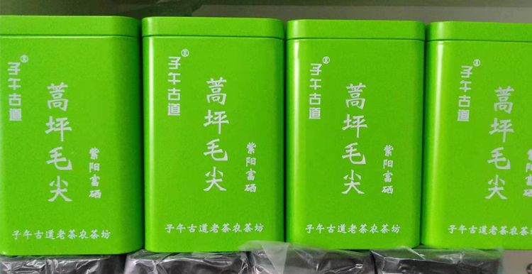 子午古道蒿坪毛尖
