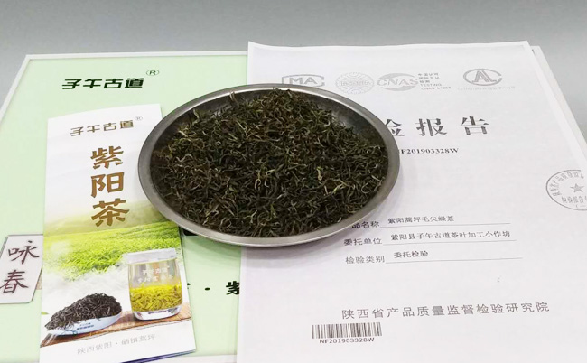 紫阳明前茶