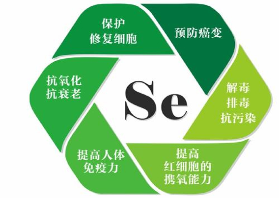 硒元素的作用