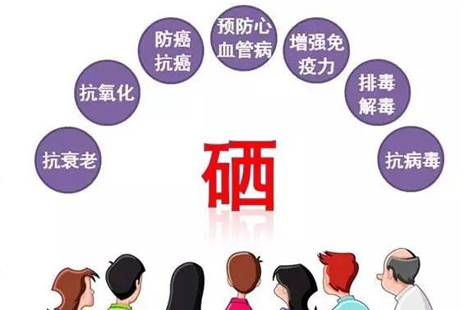 硒元素解毒排毒