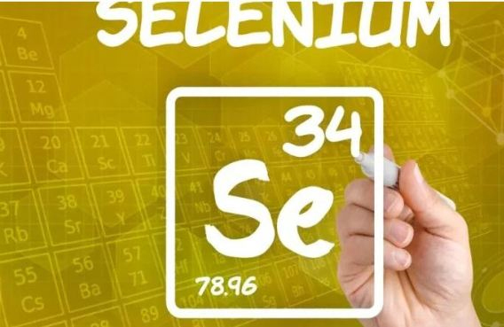 硒在提高人体免疫力方面有何不同？