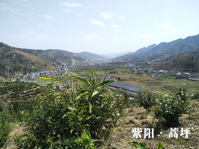 第一魅力硒镇