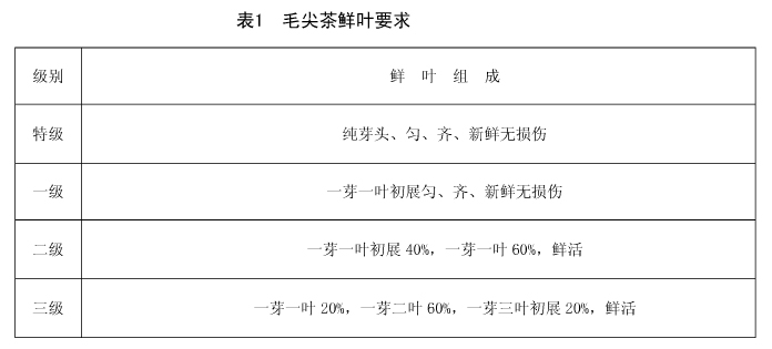 紫阳毛尖标准