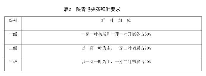 陕青毛尖