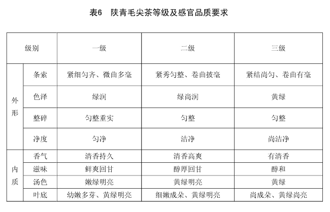 陕青毛尖