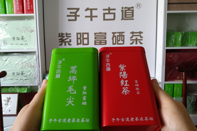 正宗蒿坪毛尖