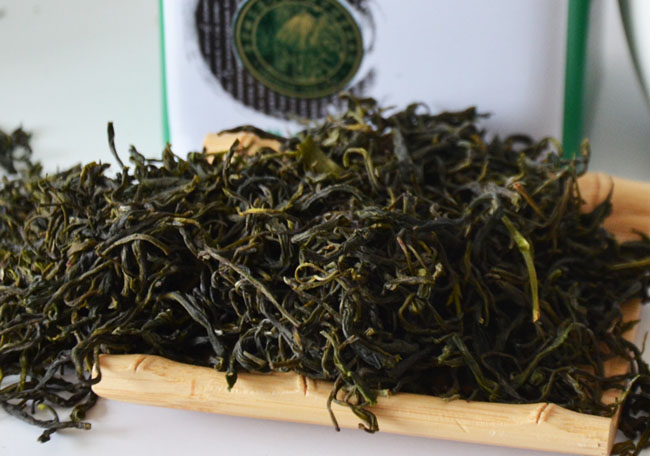 紫阳啥茶好