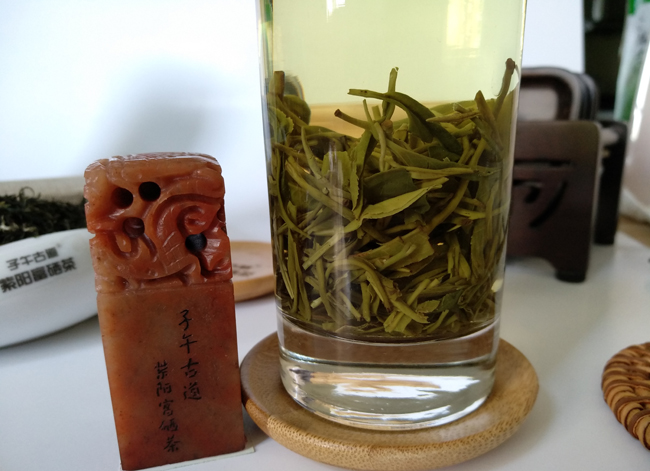 紫阳茶鉴别