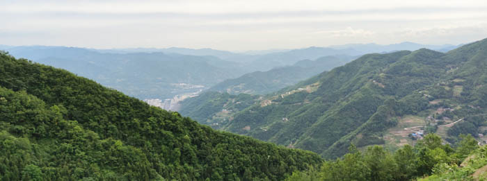 紫阳县喜获“全国区域特色美丽茶乡”称号