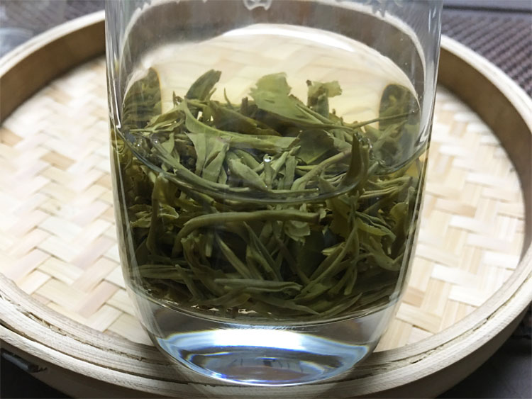 用紫阳毛尖泡的茶水吃药好不好?