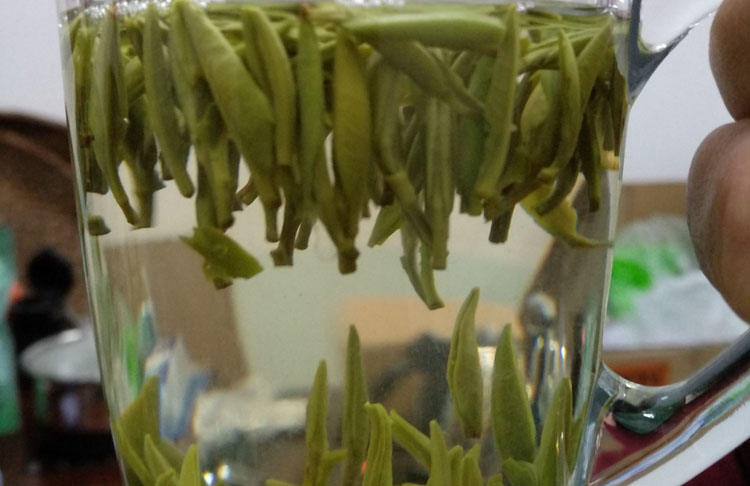 安康紫阳银针绿茶煮着喝行不行？