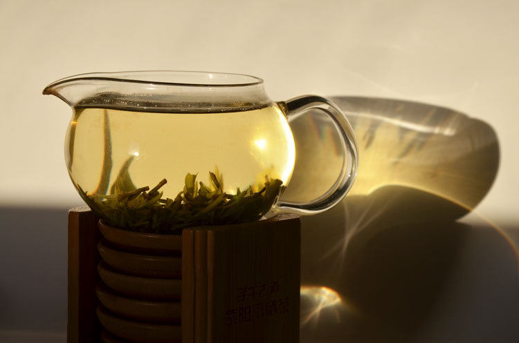 紫阳翠峰绿茶能煮着喝吗？
