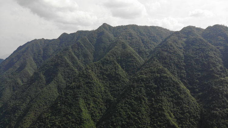 安康市紫阳县毛坝镇竹山村半山悬崖上的村庄